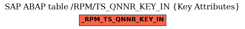 E-R Diagram for table /RPM/TS_QNNR_KEY_IN (Key Attributes)