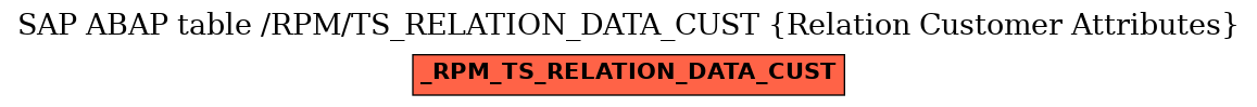 E-R Diagram for table /RPM/TS_RELATION_DATA_CUST (Relation Customer Attributes)