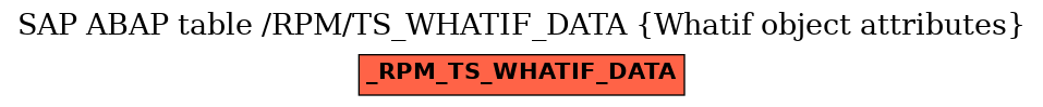 E-R Diagram for table /RPM/TS_WHATIF_DATA (Whatif object attributes)