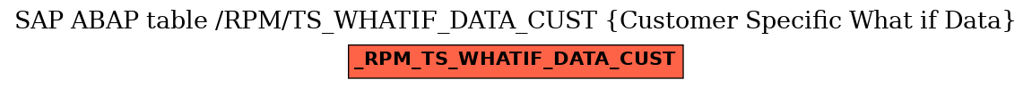 E-R Diagram for table /RPM/TS_WHATIF_DATA_CUST (Customer Specific What if Data)