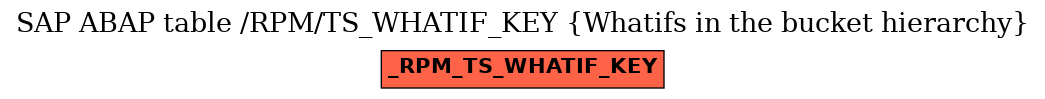 E-R Diagram for table /RPM/TS_WHATIF_KEY (Whatifs in the bucket hierarchy)