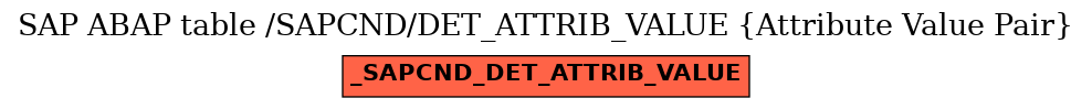 E-R Diagram for table /SAPCND/DET_ATTRIB_VALUE (Attribute Value Pair)