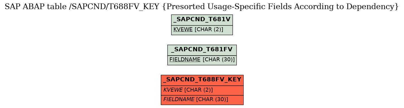 E-R Diagram for table /SAPCND/T688FV_KEY (Presorted Usage-Specific Fields According to Dependency)