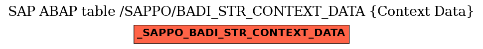 E-R Diagram for table /SAPPO/BADI_STR_CONTEXT_DATA (Context Data)