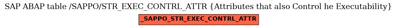E-R Diagram for table /SAPPO/STR_EXEC_CONTRL_ATTR (Attributes that also Control he Executability)
