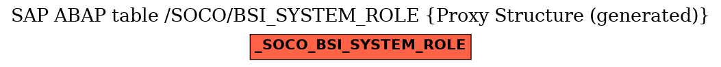 E-R Diagram for table /SOCO/BSI_SYSTEM_ROLE (Proxy Structure (generated))
