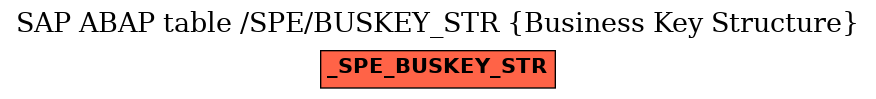 E-R Diagram for table /SPE/BUSKEY_STR (Business Key Structure)