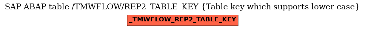 E-R Diagram for table /TMWFLOW/REP2_TABLE_KEY (Table key which supports lower case)