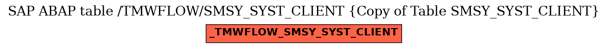 E-R Diagram for table /TMWFLOW/SMSY_SYST_CLIENT (Copy of Table SMSY_SYST_CLIENT)