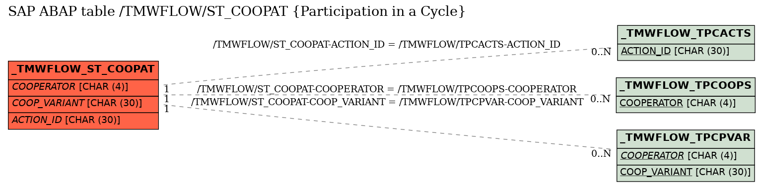 E-R Diagram for table /TMWFLOW/ST_COOPAT (Participation in a Cycle)