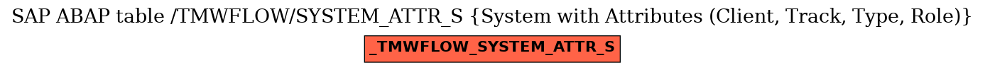 E-R Diagram for table /TMWFLOW/SYSTEM_ATTR_S (System with Attributes (Client, Track, Type, Role))