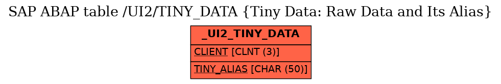 E-R Diagram for table /UI2/TINY_DATA (Tiny Data: Raw Data and Its Alias)