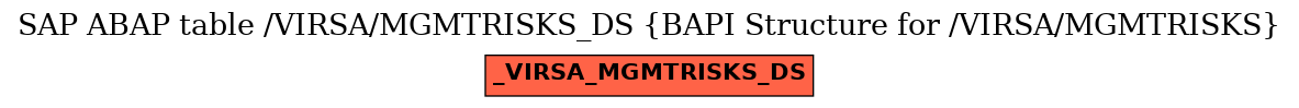 E-R Diagram for table /VIRSA/MGMTRISKS_DS (BAPI Structure for /VIRSA/MGMTRISKS)