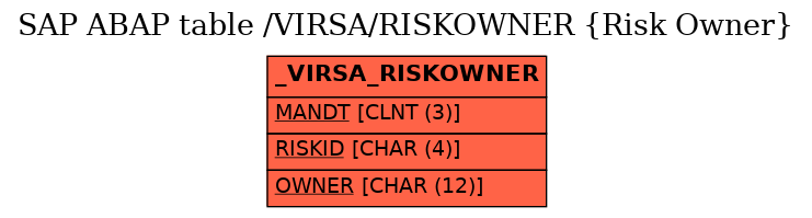 E-R Diagram for table /VIRSA/RISKOWNER (Risk Owner)