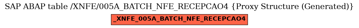 E-R Diagram for table /XNFE/005A_BATCH_NFE_RECEPCAO4 (Proxy Structure (Generated))