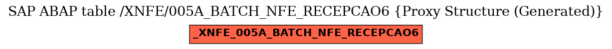 E-R Diagram for table /XNFE/005A_BATCH_NFE_RECEPCAO6 (Proxy Structure (Generated))