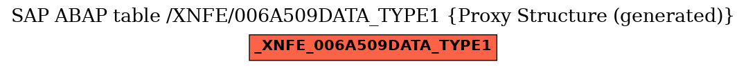E-R Diagram for table /XNFE/006A509DATA_TYPE1 (Proxy Structure (generated))