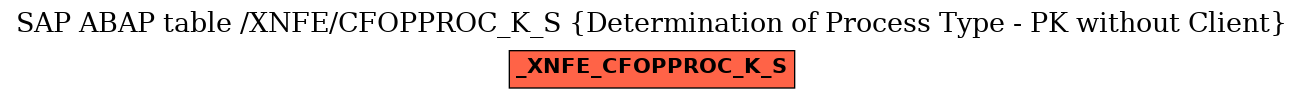 E-R Diagram for table /XNFE/CFOPPROC_K_S (Determination of Process Type - PK without Client)