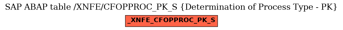 E-R Diagram for table /XNFE/CFOPPROC_PK_S (Determination of Process Type - PK)