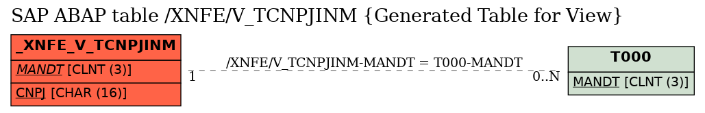 E-R Diagram for table /XNFE/V_TCNPJINM (Generated Table for View)