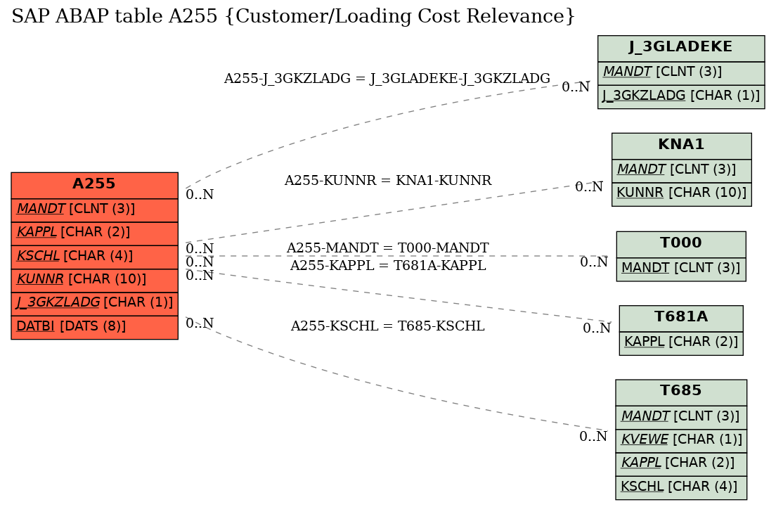 E-R Diagram for table A255 (Customer/Loading Cost Relevance)