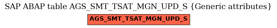 E-R Diagram for table AGS_SMT_TSAT_MGN_UPD_S (Generic attributes)