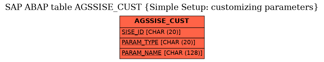 E-R Diagram for table AGSSISE_CUST (Simple Setup: customizing parameters)