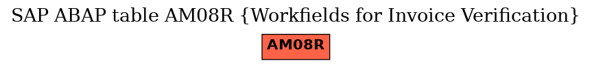 E-R Diagram for table AM08R (Workfields for Invoice Verification)