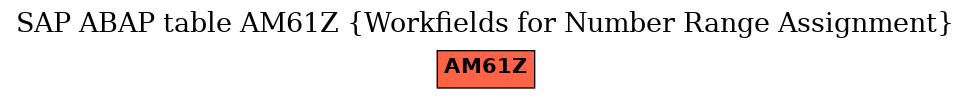 E-R Diagram for table AM61Z (Workfields for Number Range Assignment)