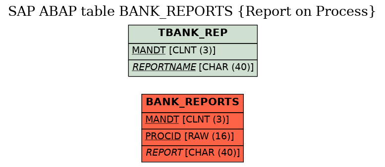 E-R Diagram for table BANK_REPORTS (Report on Process)