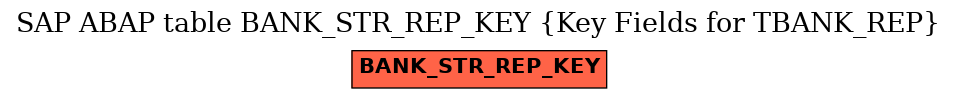 E-R Diagram for table BANK_STR_REP_KEY (Key Fields for TBANK_REP)