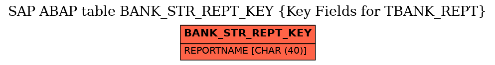 E-R Diagram for table BANK_STR_REPT_KEY (Key Fields for TBANK_REPT)