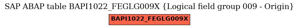 E-R Diagram for table BAPI1022_FEGLG009X (Logical field group 009 - Origin)