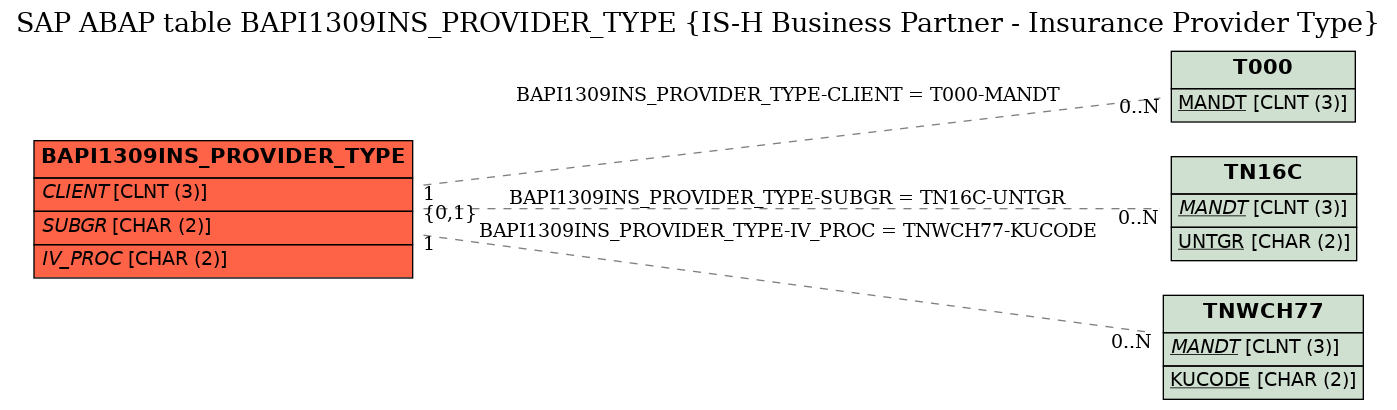 E-R Diagram for table BAPI1309INS_PROVIDER_TYPE (IS-H Business Partner - Insurance Provider Type)