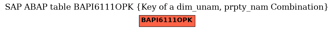 E-R Diagram for table BAPI6111OPK (Key of a dim_unam, prpty_nam Combination)