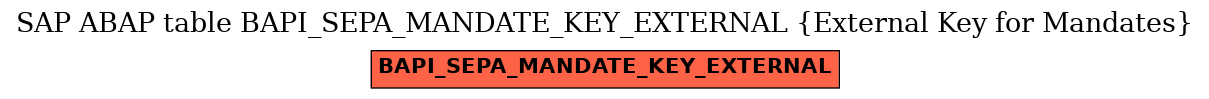 E-R Diagram for table BAPI_SEPA_MANDATE_KEY_EXTERNAL (External Key for Mandates)