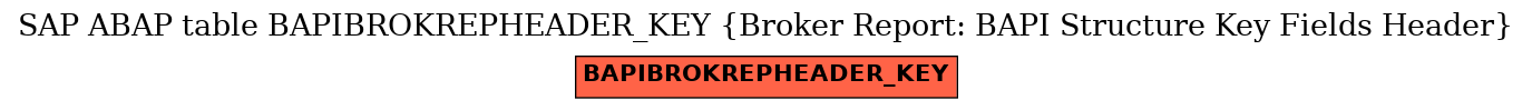 E-R Diagram for table BAPIBROKREPHEADER_KEY (Broker Report: BAPI Structure Key Fields Header)