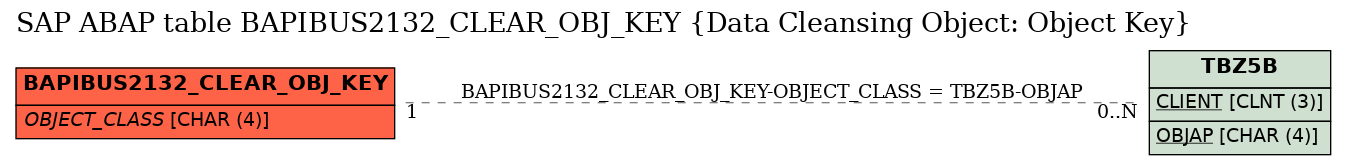 E-R Diagram for table BAPIBUS2132_CLEAR_OBJ_KEY (Data Cleansing Object: Object Key)