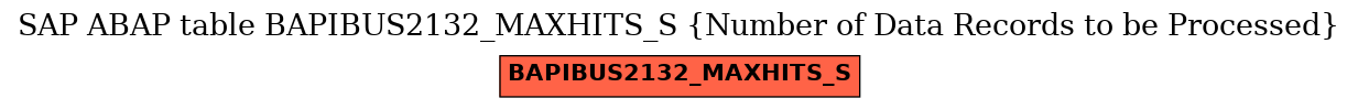 E-R Diagram for table BAPIBUS2132_MAXHITS_S (Number of Data Records to be Processed)