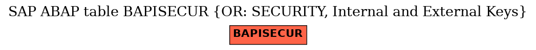 E-R Diagram for table BAPISECUR (OR: SECURITY, Internal and External Keys)