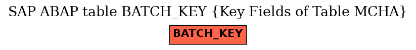 E-R Diagram for table BATCH_KEY (Key Fields of Table MCHA)