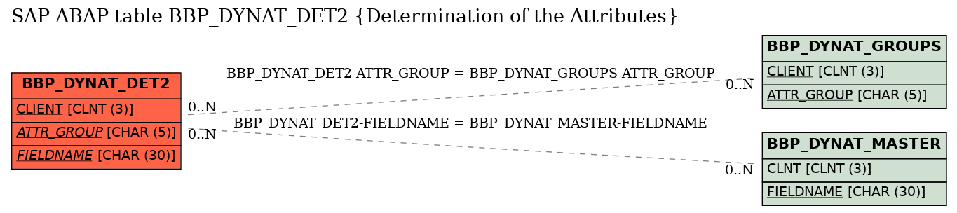 E-R Diagram for table BBP_DYNAT_DET2 (Determination of the Attributes)