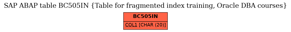 E-R Diagram for table BC505IN (Table for fragmented index training, Oracle DBA courses)