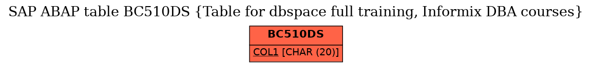 E-R Diagram for table BC510DS (Table for dbspace full training, Informix DBA courses)