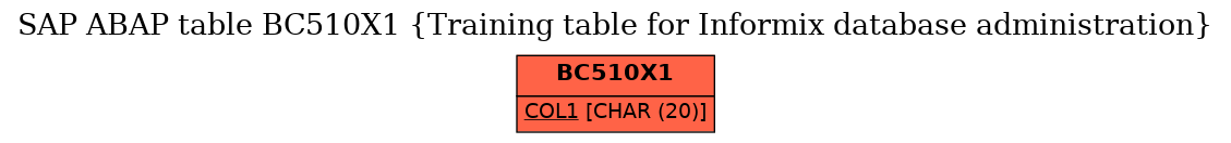 E-R Diagram for table BC510X1 (Training table for Informix database administration)