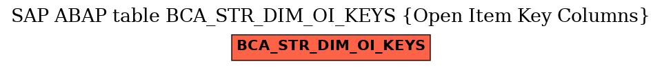 E-R Diagram for table BCA_STR_DIM_OI_KEYS (Open Item Key Columns)