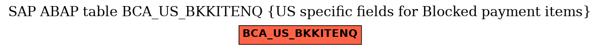 E-R Diagram for table BCA_US_BKKITENQ (US specific fields for Blocked payment items)