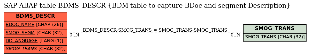 E-R Diagram for table BDMS_DESCR (BDM table to capture BDoc and segment Description)