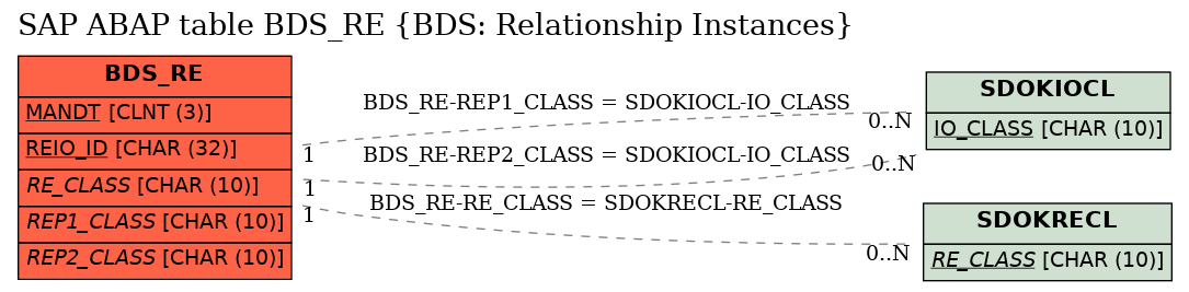 E-R Diagram for table BDS_RE (BDS: Relationship Instances)