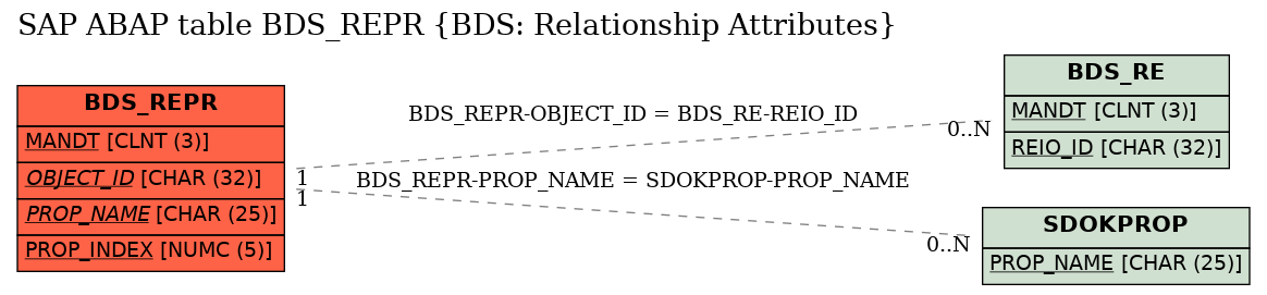 E-R Diagram for table BDS_REPR (BDS: Relationship Attributes)
